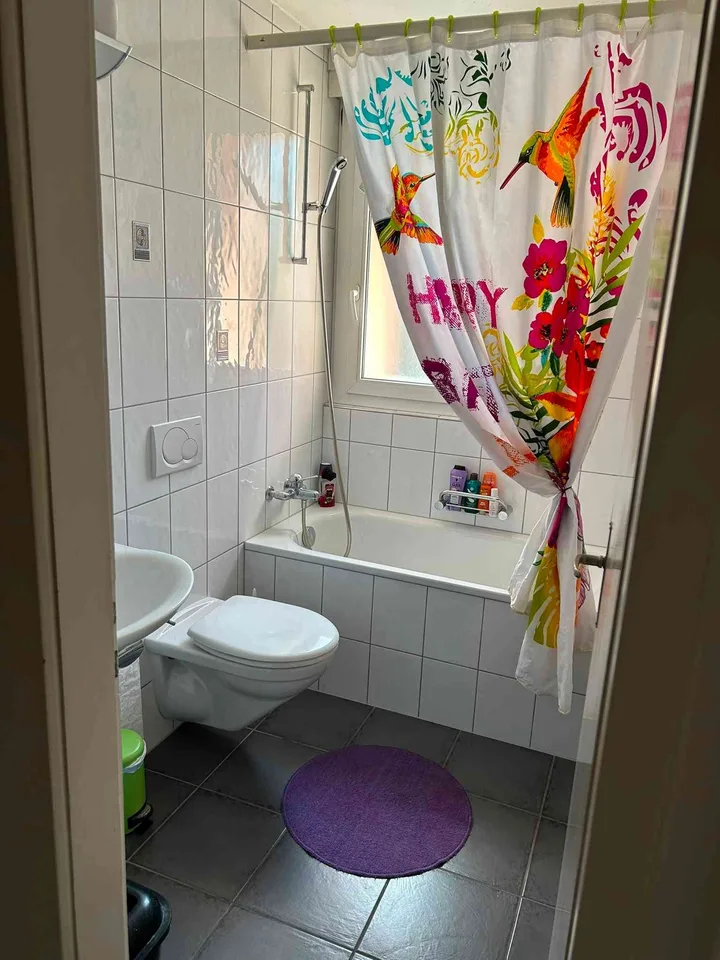 Duplex/House Apartment in Wichtrach