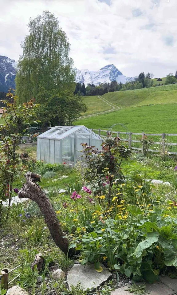 Wohnen mit Weitblick auf den Beverin – photo 13 of 13
