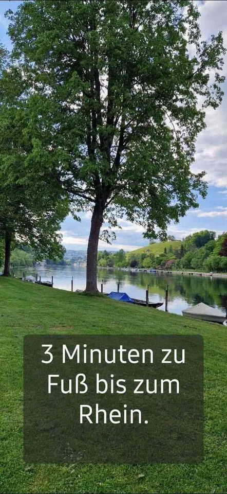 schöne 3.5 Zimmer Wohnung plus Büro in guter Lage mit Terrasse