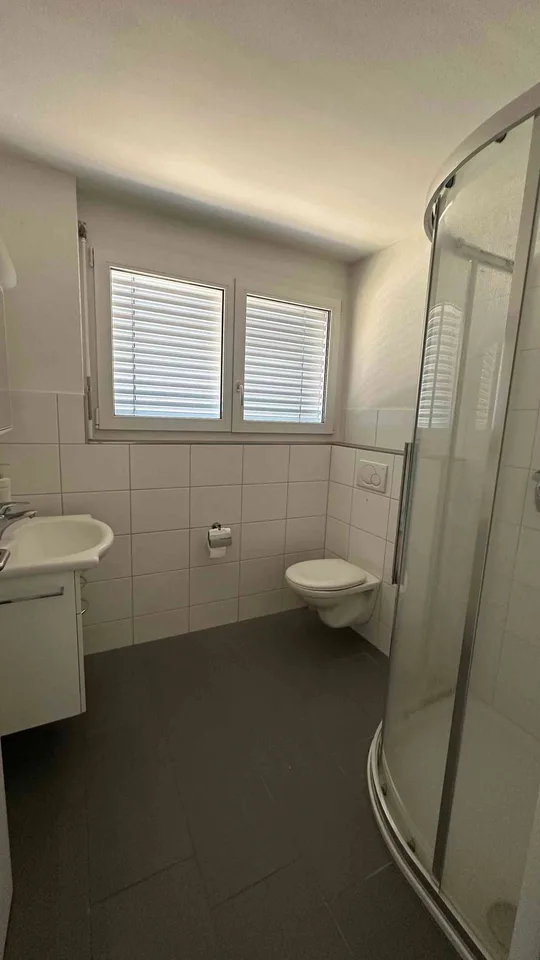 Traumhafte 5.5-Zimmer-Attikawohnung mit grosser Terrasse & Weitsicht i