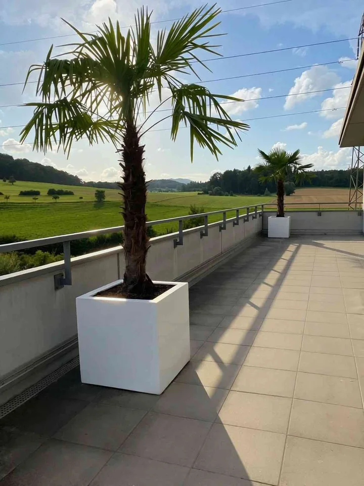Traumhafte 5.5-Zimmer-Attikawohnung mit grosser Terrasse & Weitsicht i