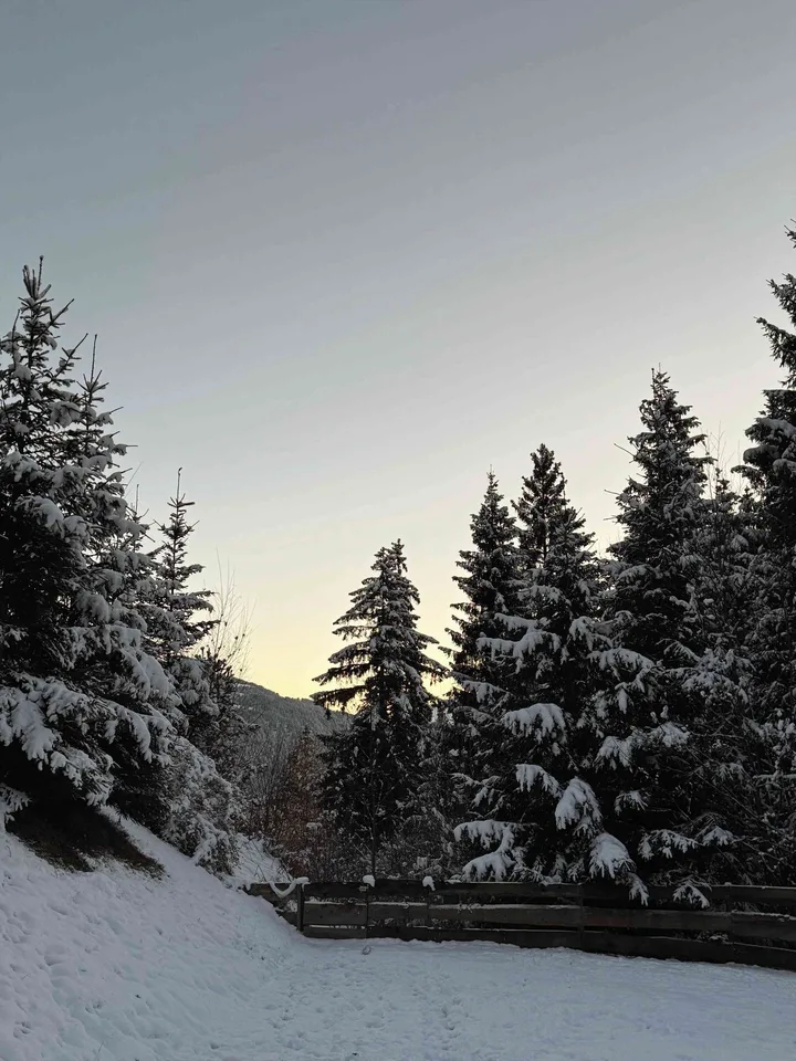 Weihnachten & Silvester in Laax | Ferienwohnung für 6–8 Personen