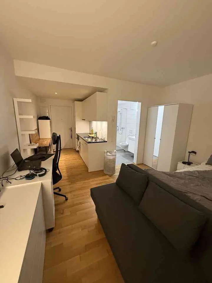 1-Bedroom Apartment for Rent in Geneva (La Servette neighborhood)
