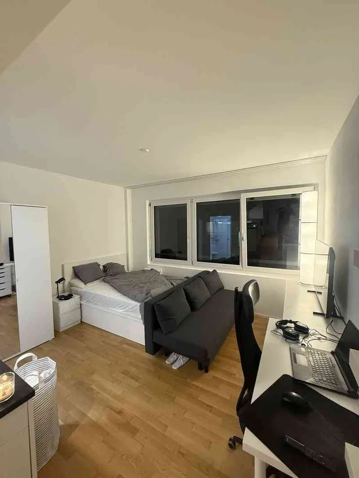 1-Bedroom Apartment for Rent in Geneva (La Servette neighborhood)