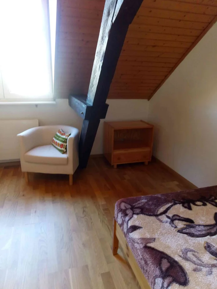Sehr grosses neues möbliertes WG-Zimmer ab sofort