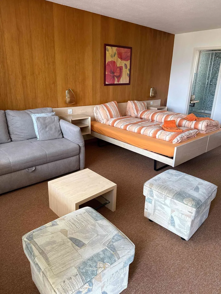 1 1/2 Zimmerwohnung mit wunderschönen Aussicht nähe Thermalbad