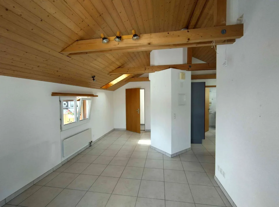 2 Zimmerwohnung im OG mit grosser Terrasse