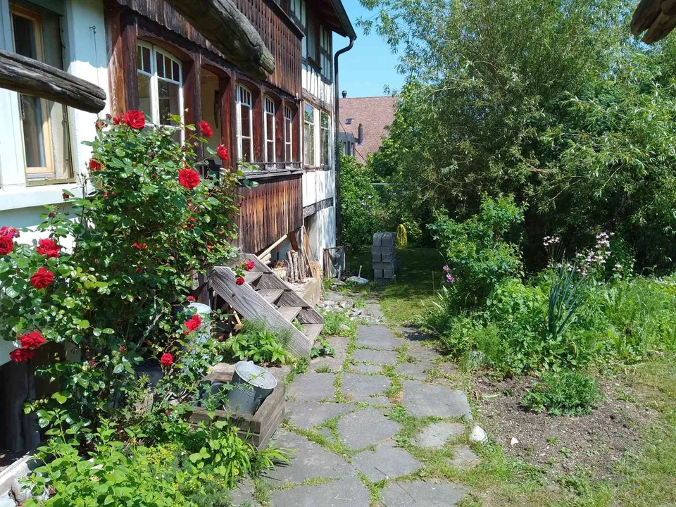 3 ZIMMER: 48 m2 LILIA- BUBIKON - 20 min. bis Zürich (S5), ab 1.10.26