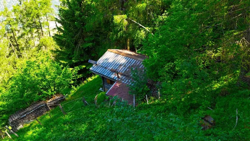Hexenhäuschen inmitten einer Lärchenlichtung oberhalb Ergisch