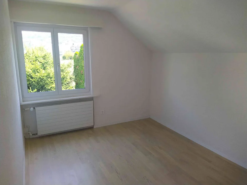 6 1/2 Zimmer Einfamilienhaus mit Garten