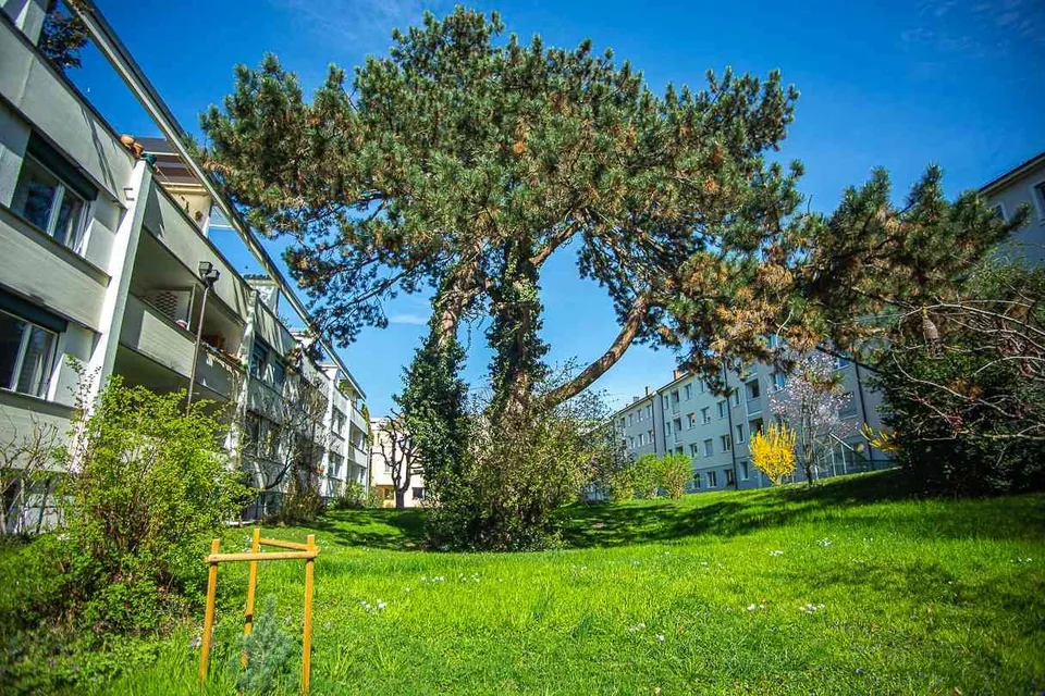 kiwihomes.ch / 8' to AeschenV - top 'birdsong bijou' 2 bedrms wm 2750