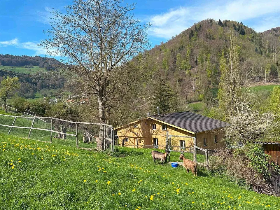 6-Zimmer-Wohnung mit Garten