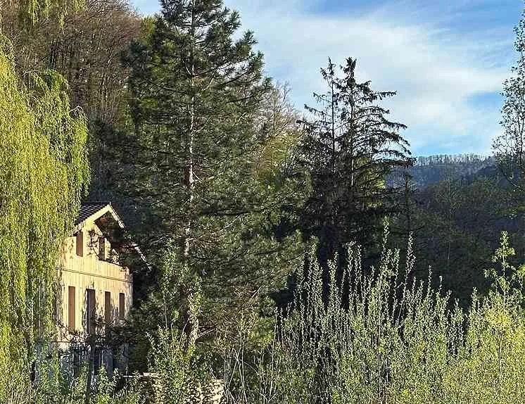 6-Zimmer-Wohnung mit Garten
