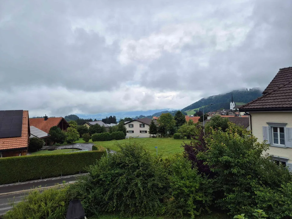 Kopie Appenzeller Bürgerhaus in Strickbauweise – Foto 5 von 10