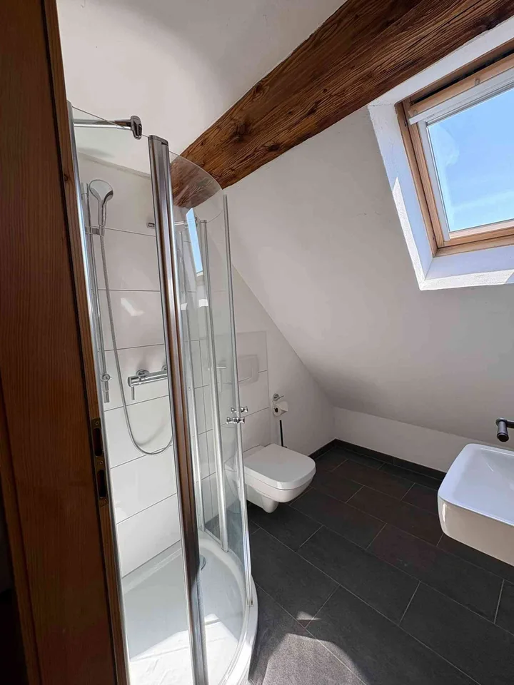6.5 Zimmerhaus in Mettmenstetten