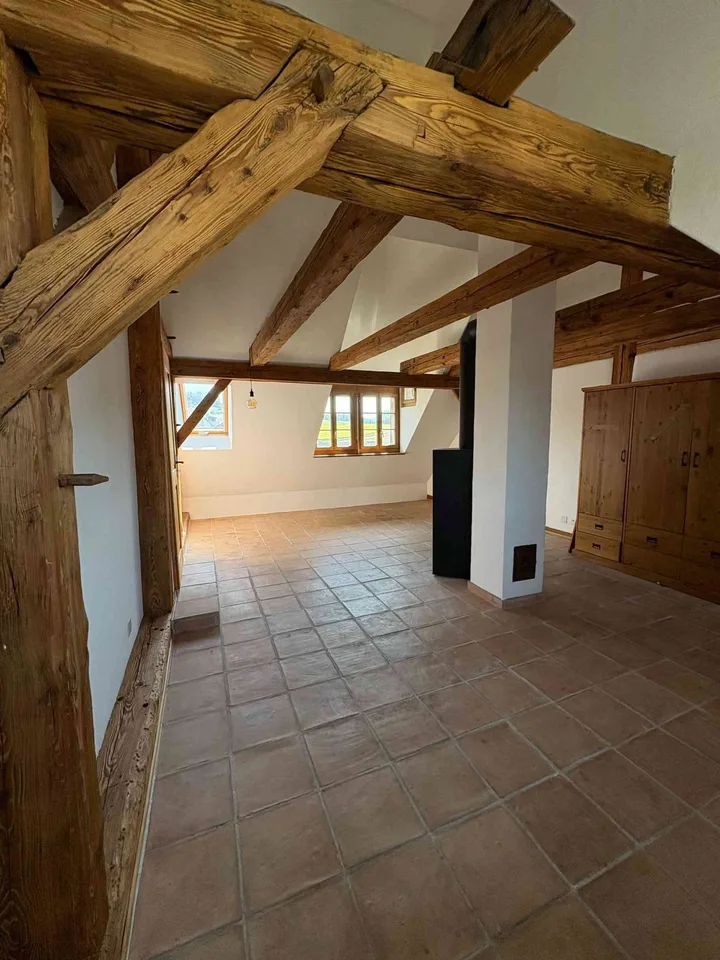6.5 Zimmerhaus in Mettmenstetten