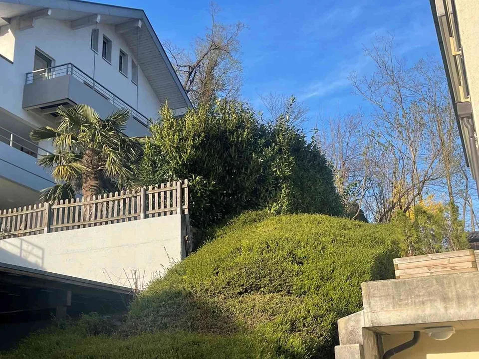 Wohnen mit Weitblick – 3.5-Zimmerwohnung mit Traumterrasse am Waldrand