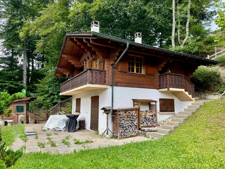 Charmant chalet à Gryon–Barboleuse , vue montagne et cadre paisible – foto 2 di 12