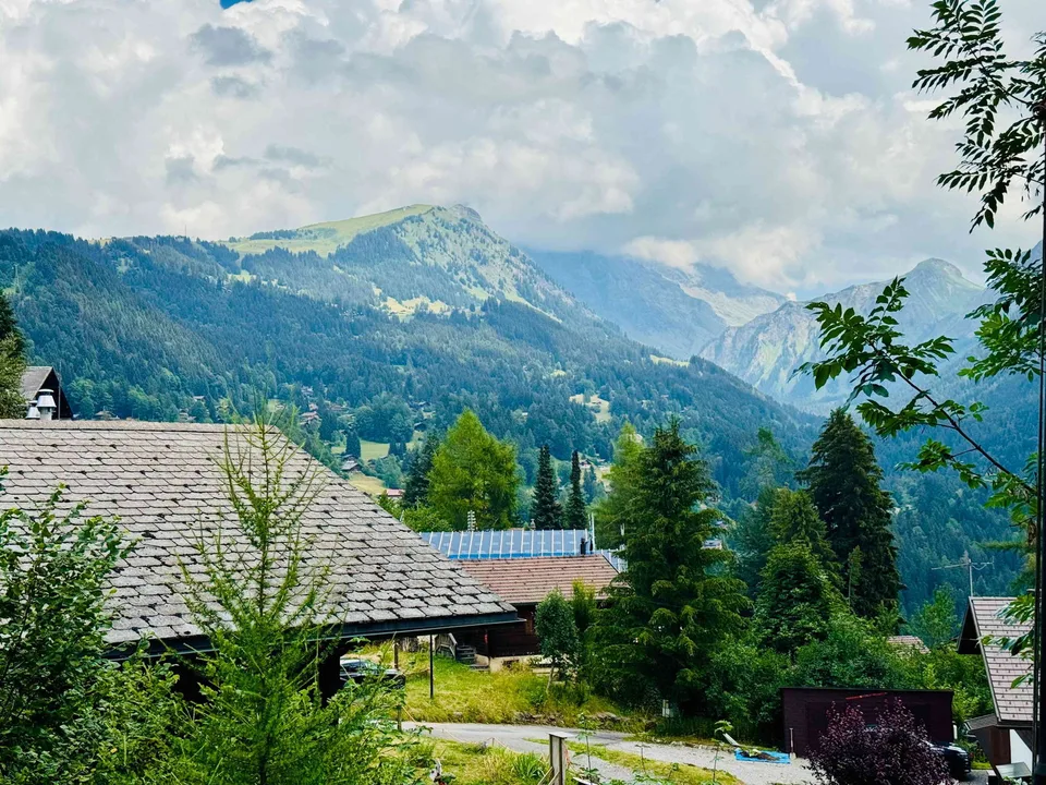 Charmant chalet à Gryon–Barboleuse , vue montagne et cadre paisible – foto 12 di 12