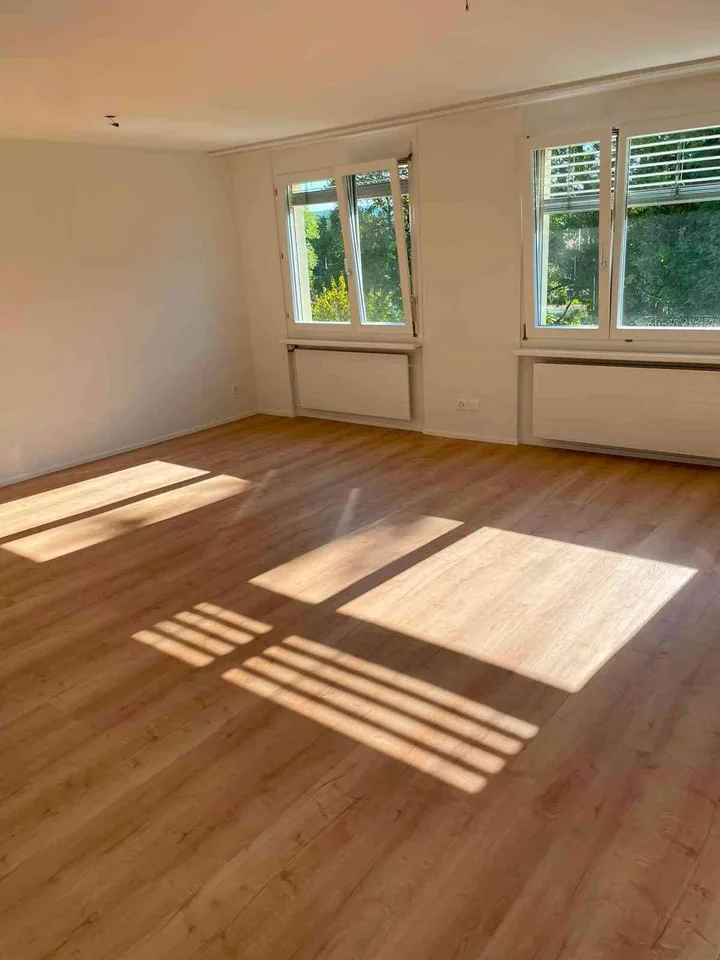3.5-Zimmer-Wohnung in Hochfelden ZH - komplett renoviert