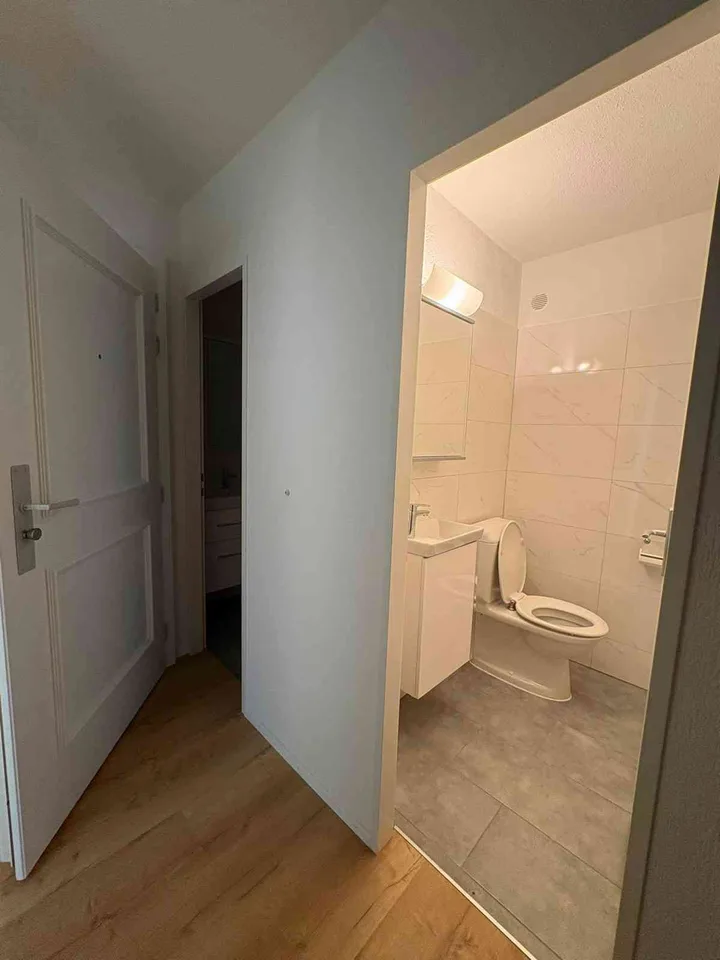 3.5-Zimmer-Wohnung in Hochfelden ZH - komplett renoviert