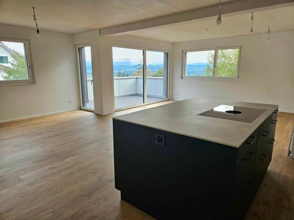 Erstvermietung: 3.5 Zimmer Neubau, 75 m² Sitzplatz, Balkon, Weitsicht