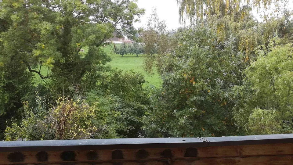2,5 Zi Studio möbliert im Grünen