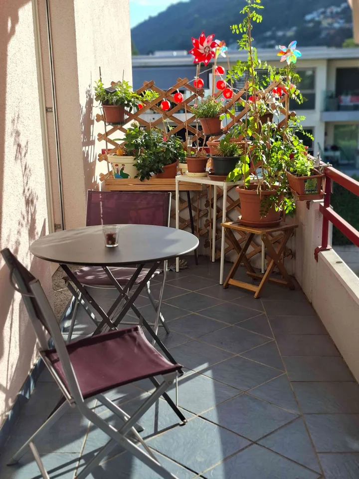 Recherche d'un sous-locataire à Bioggio
