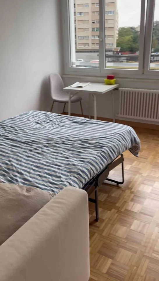 Studio (1 pièce) avec cuisine et salle de bain séparées – Thônex 1226