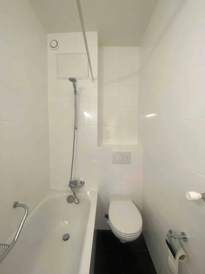 Studio (1 pièce) avec cuisine et salle de bain séparées – Thônex 1226