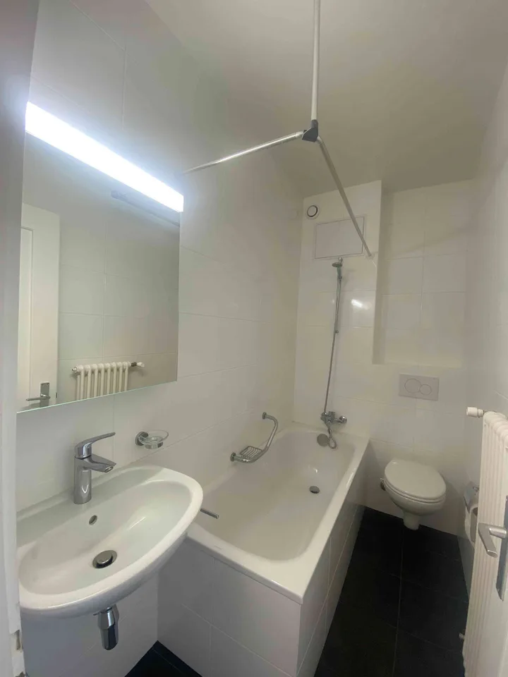 Studio (1 pièce) avec cuisine et salle de bain séparées – Thônex 1226