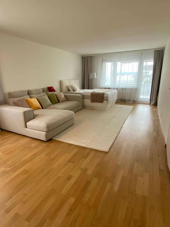 Helle 1.5-Zimmer-Wohnung mit grossem Balkon in ruhiger Lage