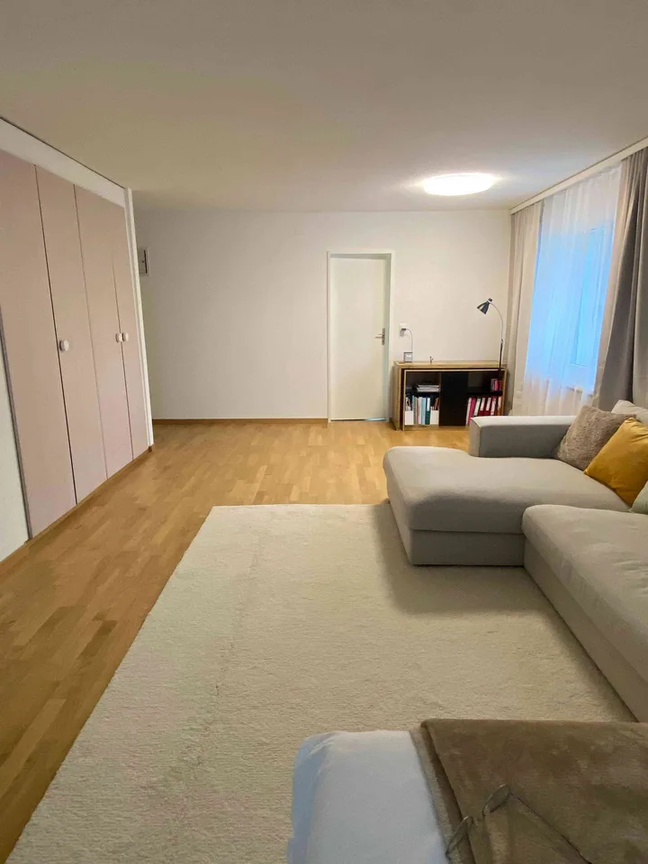 Helle 1.5-Zimmer-Wohnung mit grossem Balkon in ruhiger Lage