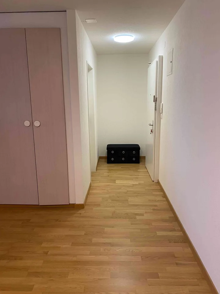Helle 1.5-Zimmer-Wohnung mit grossem Balkon in ruhiger Lage
