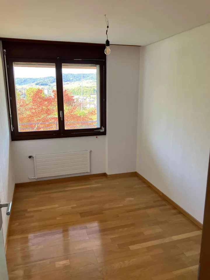 Einfamilienhaus in absoluter Traumlage auf dem Frickberg