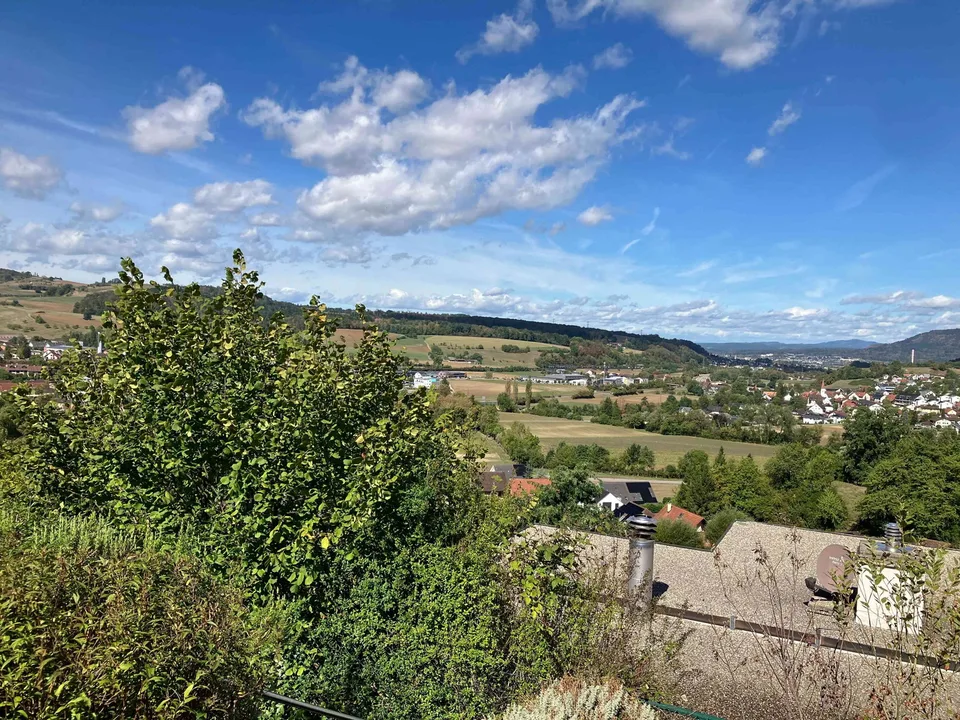 Einfamilienhaus in absoluter Traumlage auf dem Frickberg