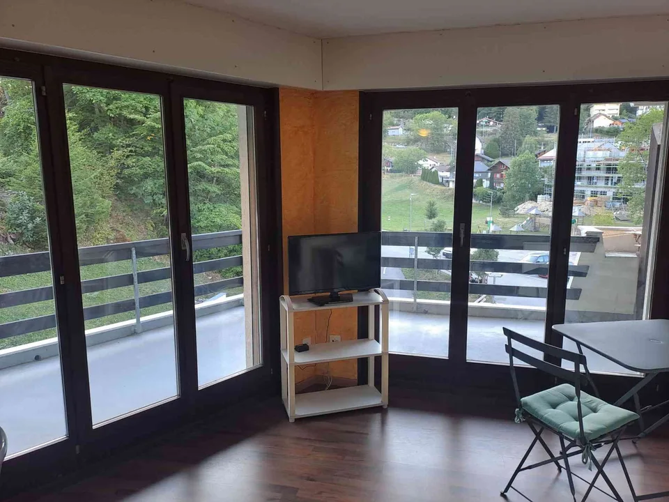 Charmant appartement meublé de 2,5 pièces avec grande terrasse et vue