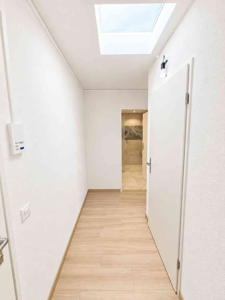 KOMPLETT RENOVIERTE 3.5-Zimmer-Wohnung / completely renovated 3.5 app.