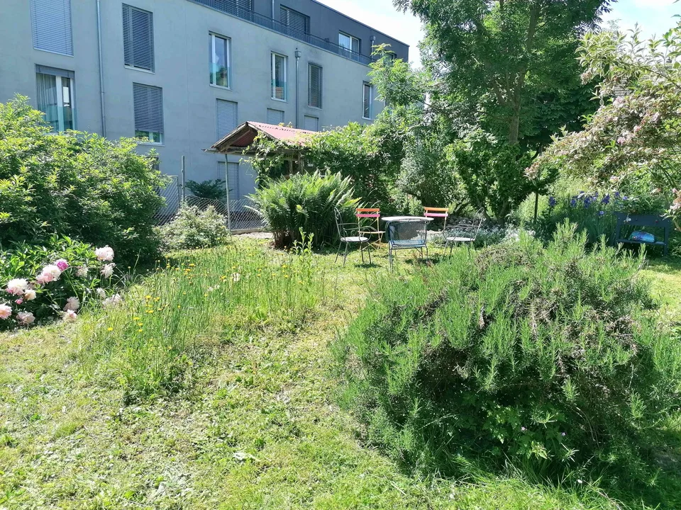 Charmante 5.5-Zimmer-Altbauwohnung im Herzen von Erlach – befristet