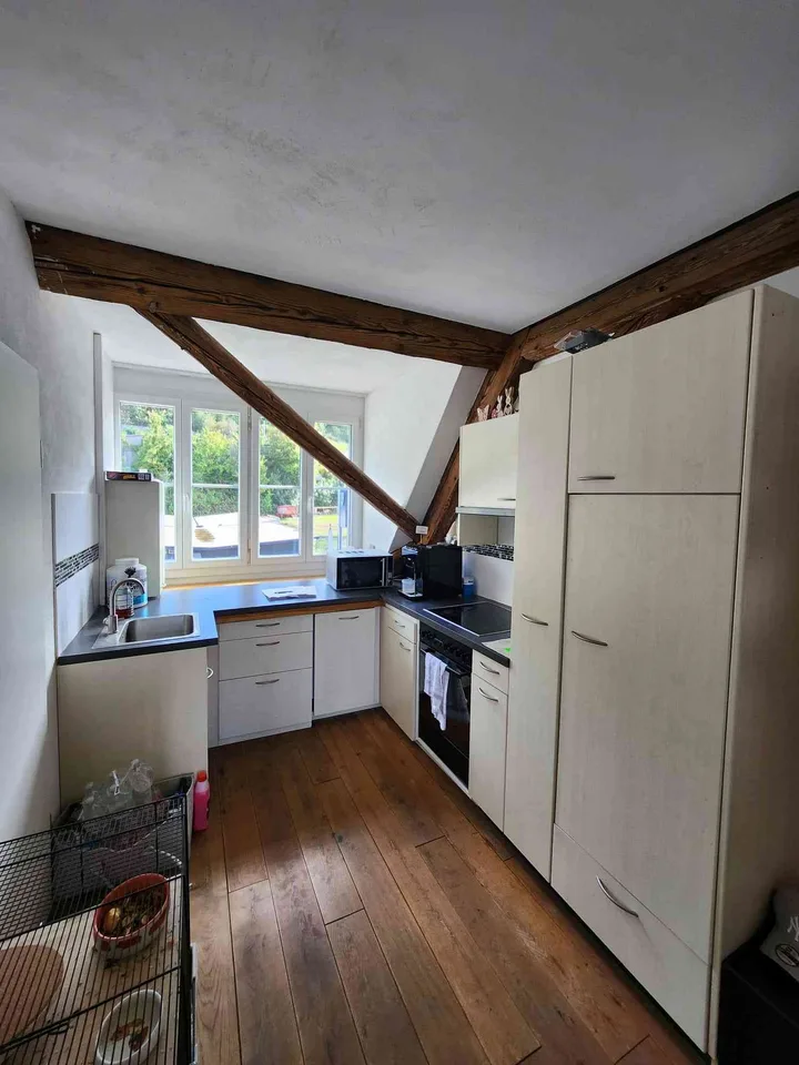 Rheinblick inklusive – 2.5-Zimmer-Wohnung in Mumpf