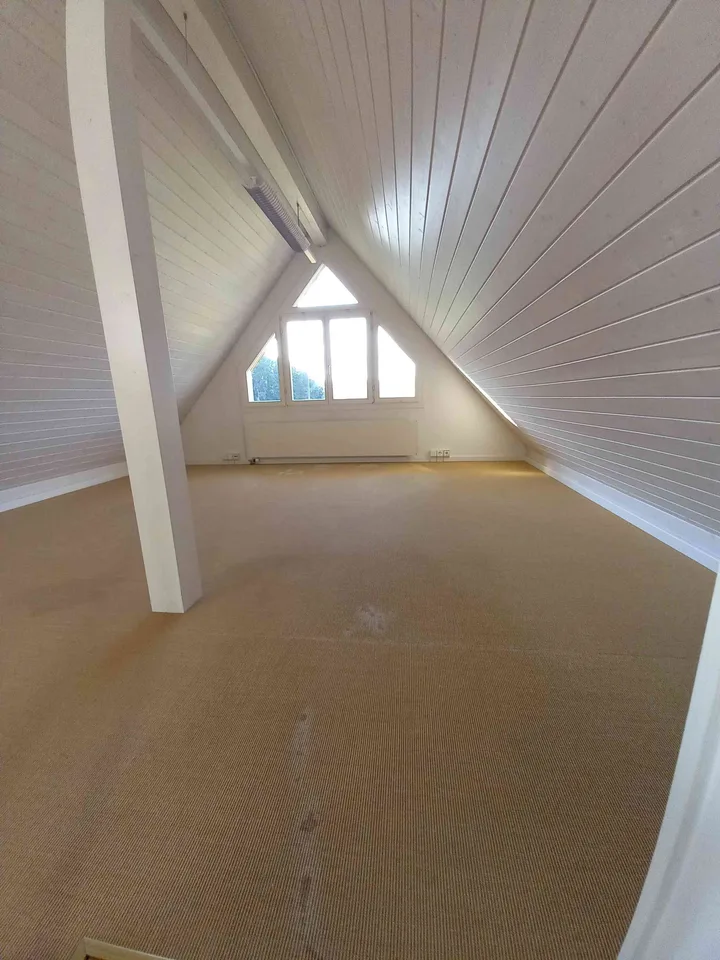 Spacious attic maisonette apartment with balcony (36 m2)