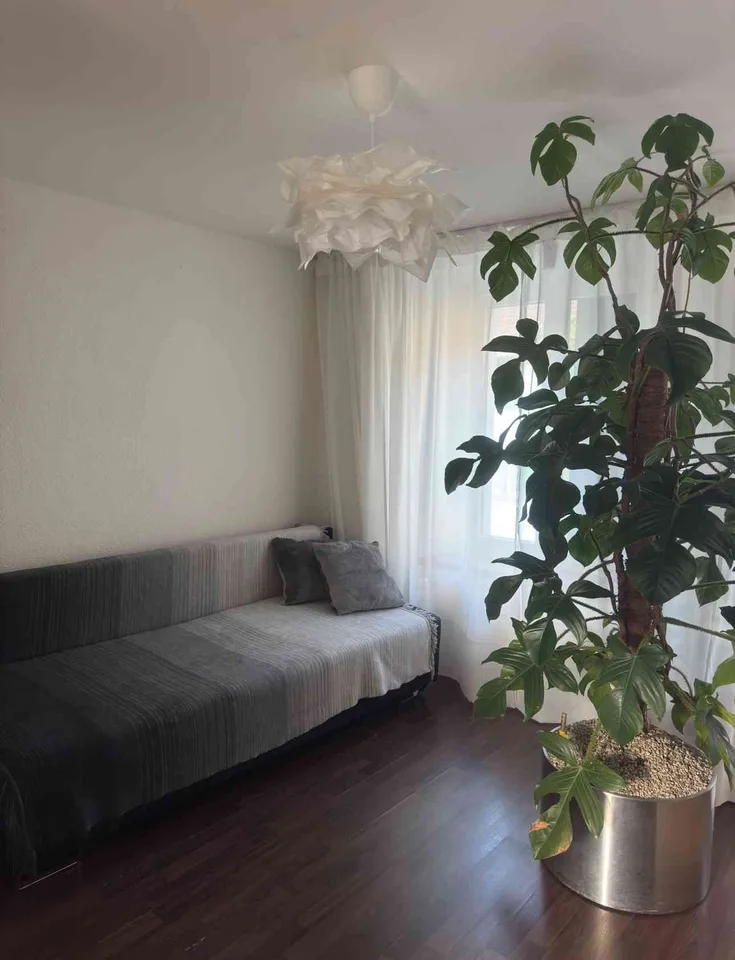 Charmante 1.5-Zimmer-Wohnung in Wald - sofort verfügbar