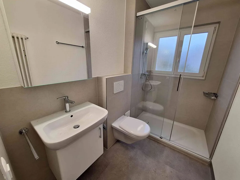 Neu renovierte 3 Zimmerwohnung