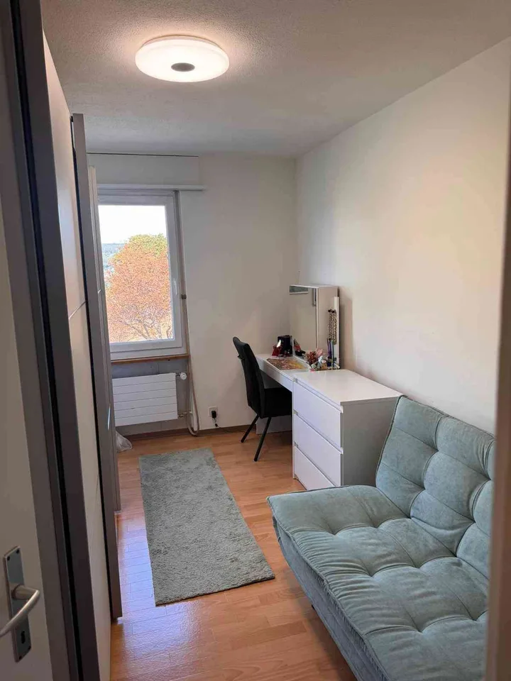 Appartamento luminoso 4.5 locali con balcone e bella vista a Pratteln