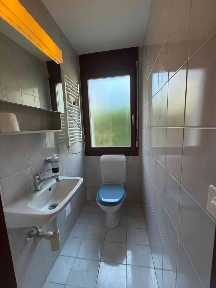 4½-Zimmer-Maisonettewohnung mit Garten in Liestal – foto 6 di 12