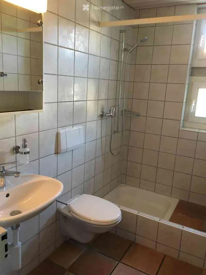 Heimelige 2,5-Zi-Wohnung mit grossem überdeckten Sitzplatz und Garten