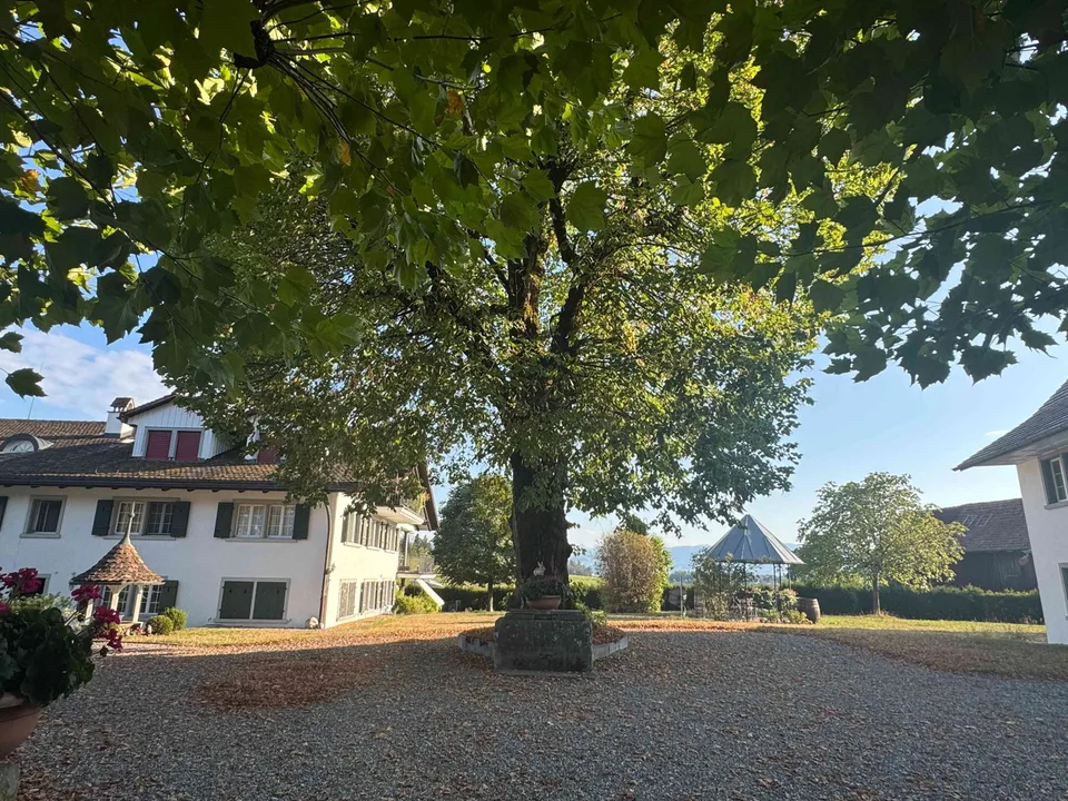 4 1/2-Zimmer-Wohnung im Grünen - Nachmieter gesucht