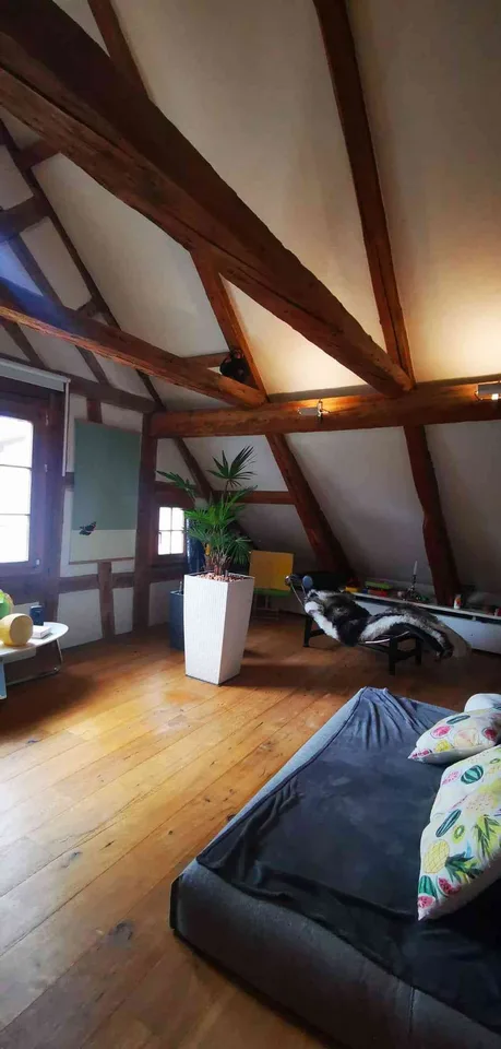 Charmantes 3-Zimmer-Loft in Au SG – Altbau mit Charakter