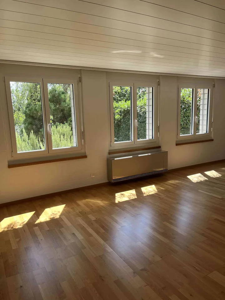 6 1/2 Zimmer Doppeleinfamilienhaus an idyllischer Lage