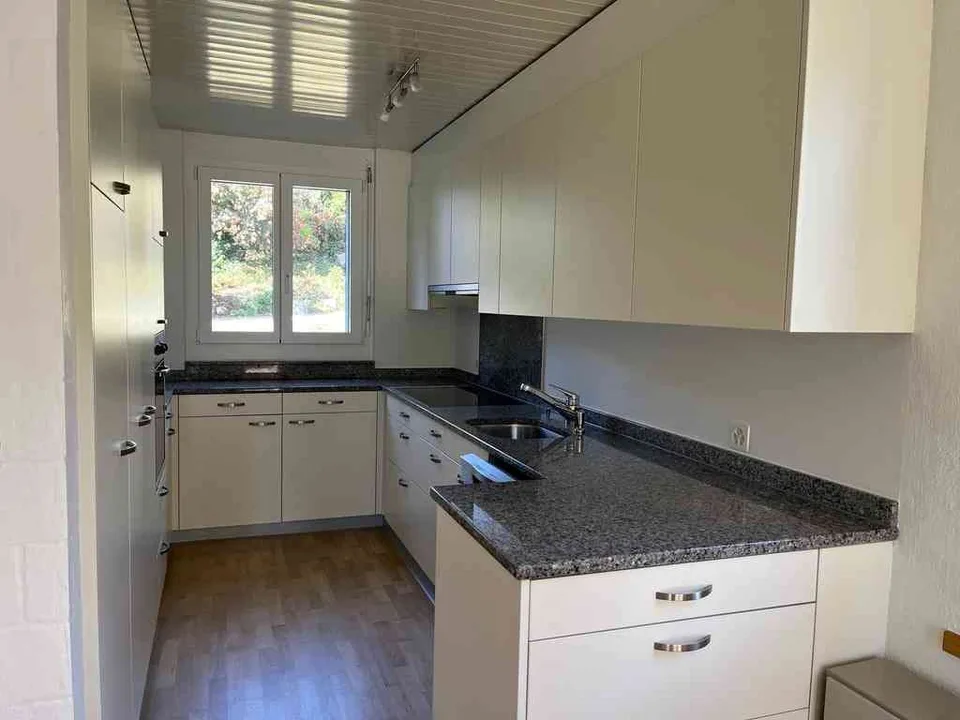 6 1/2 Zimmer Doppeleinfamilienhaus an idyllischer Lage